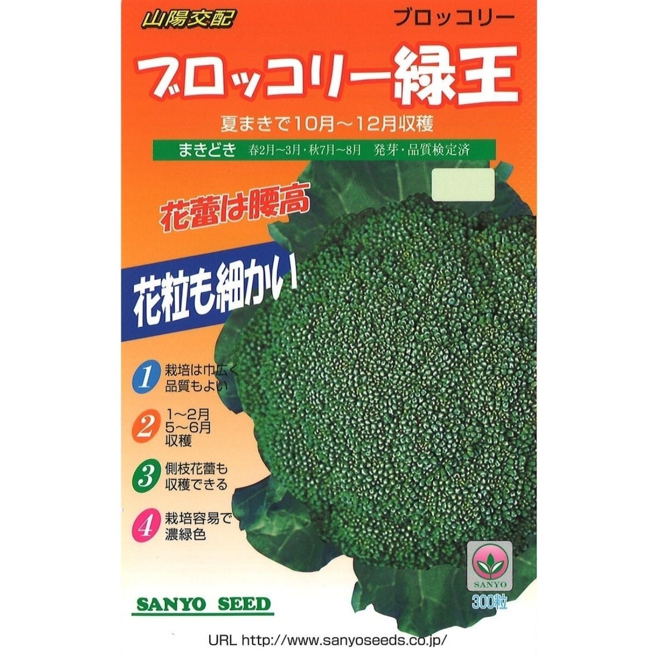 山陽交配　ブロッコリー緑王（50粒）