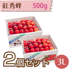 【さくらんぼ】紅秀峰 500g【3L】×2個セット