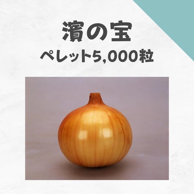 濱の宝　タマネギ種子・ペレット5,000粒