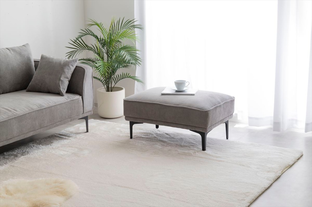 【2点セット】Siena オットマン付き2人掛けカウチソファ