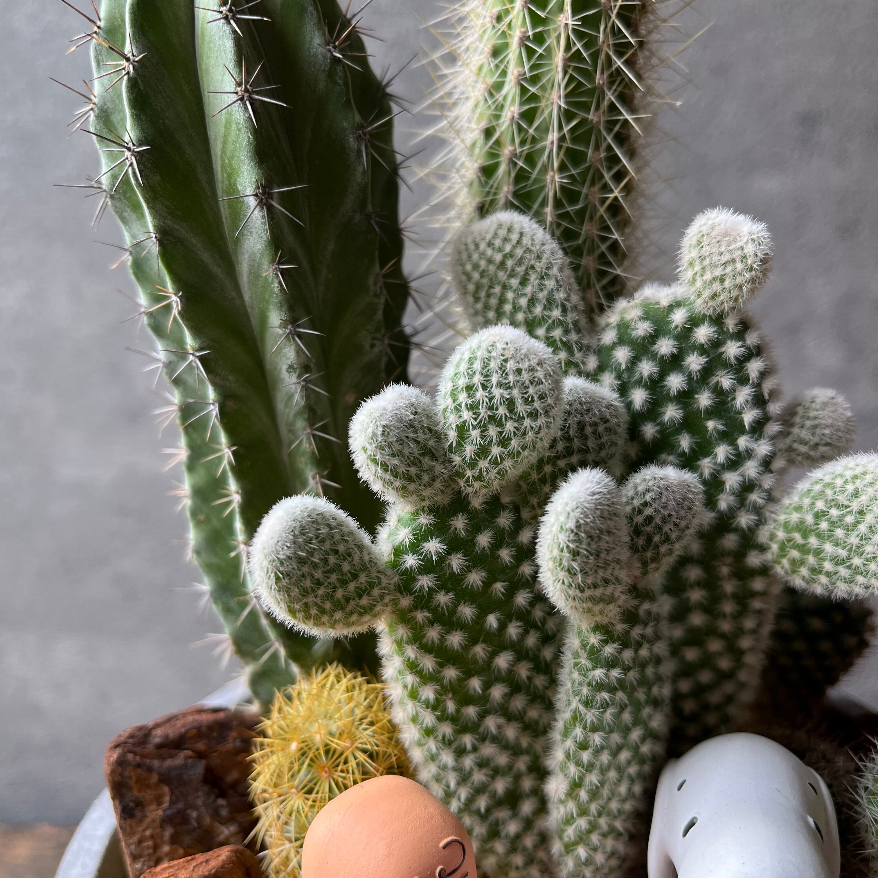 Charlie Brown&Snoopy | SABOTEN MISSILE