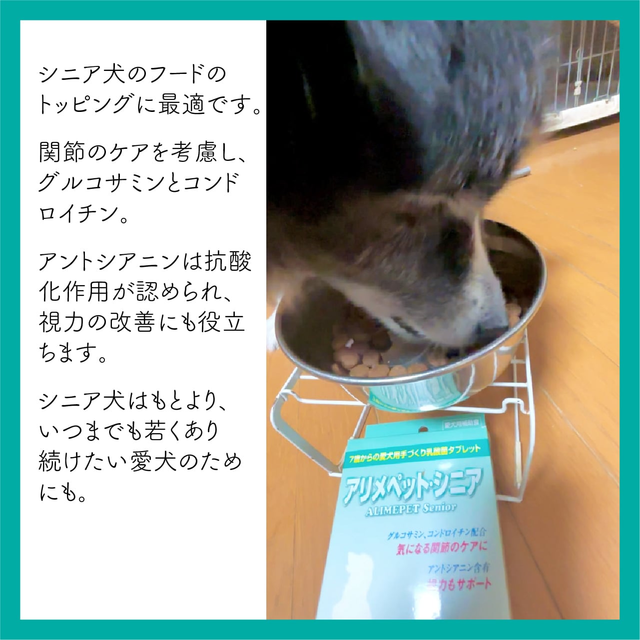 アリメペット・シニア 60g【 愛犬用 】 | 株式会社日本生菌研究所