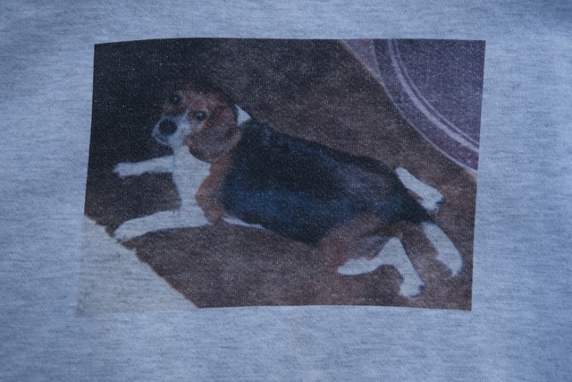 Utah／90's dog print sweat／Beagle
