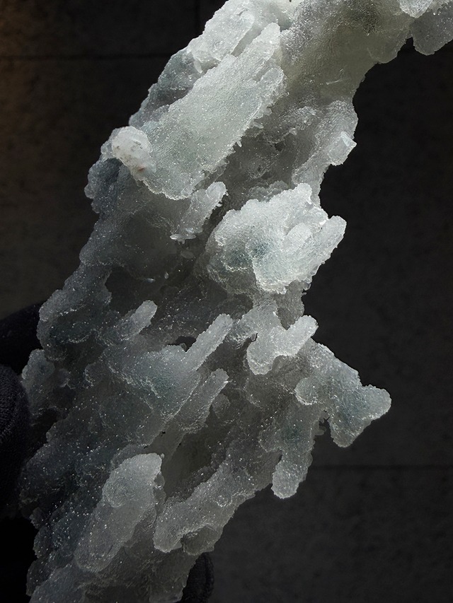 ブルーカルセドニーコーラル【ML-0176】インド