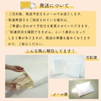 【受注生産】のれん Disney くまのプーさん MEADOW GARDEN 85×90cm　21605