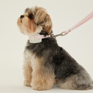 【予約】[ thesallyslaw ] Bailey cushioning collar｜Strawberry Blush