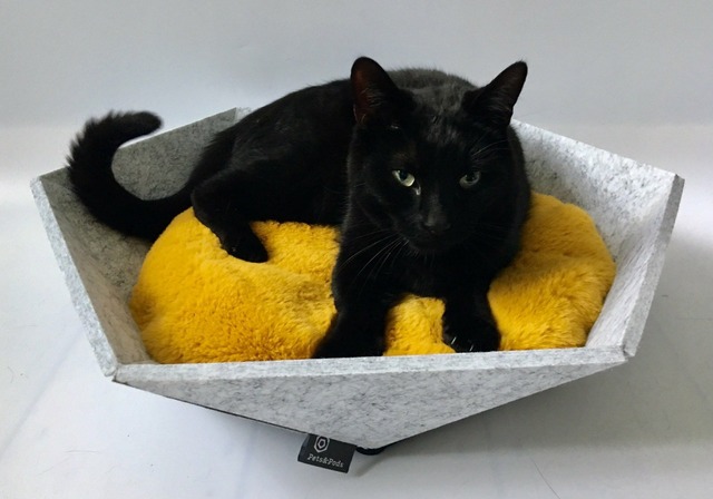 即納｜Atomo（薄灰色）シンプルで美しい猫のベッド アート ペット