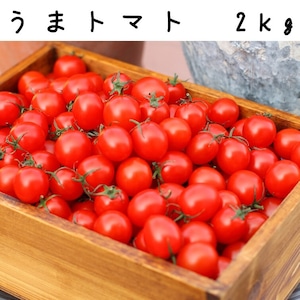 【糖度8度以上】うまトマト２ｋｇ