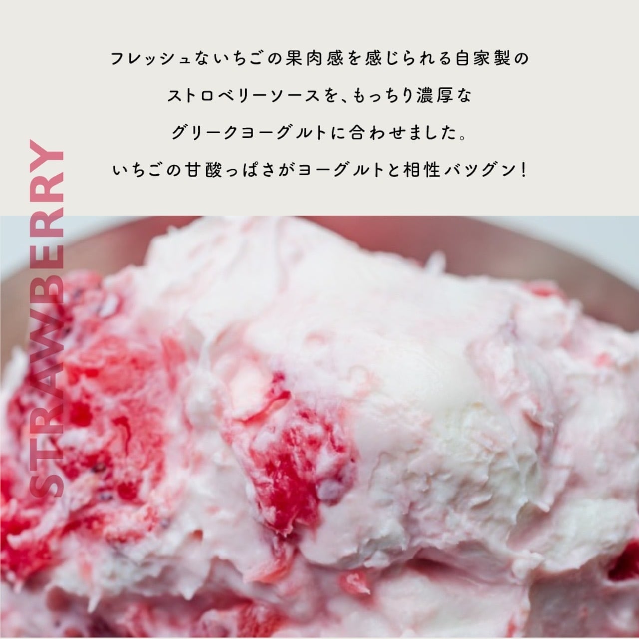 定期便】3種セット 500g『2週間コース』 | milkygreek（ミルキー