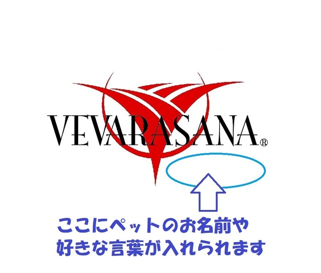 VEVARASANA®︎ BLACK&REDの重ねプリント 赤はメタルプリント 名入れ tシャツ 半袖 レディース メンズ おしゃれ かわいい カジュアル ホワイト 白 WHITE S M L 送料無料 ユニセックス 半袖 Tシャツ 春 夏 秋