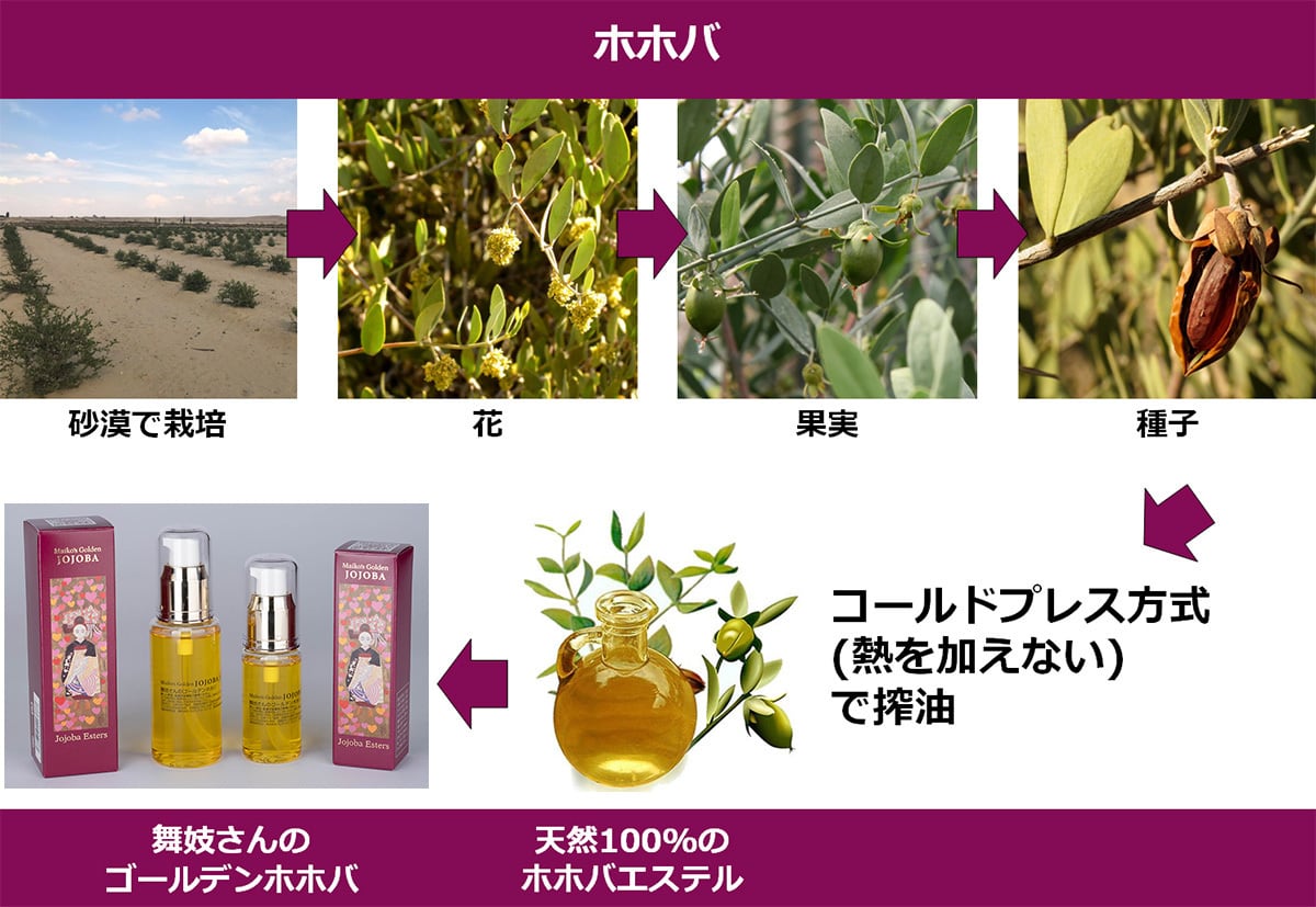 60mL 舞妓さんのゴールデンホホバ 【ほんまもんの保湿力。】 | 日本