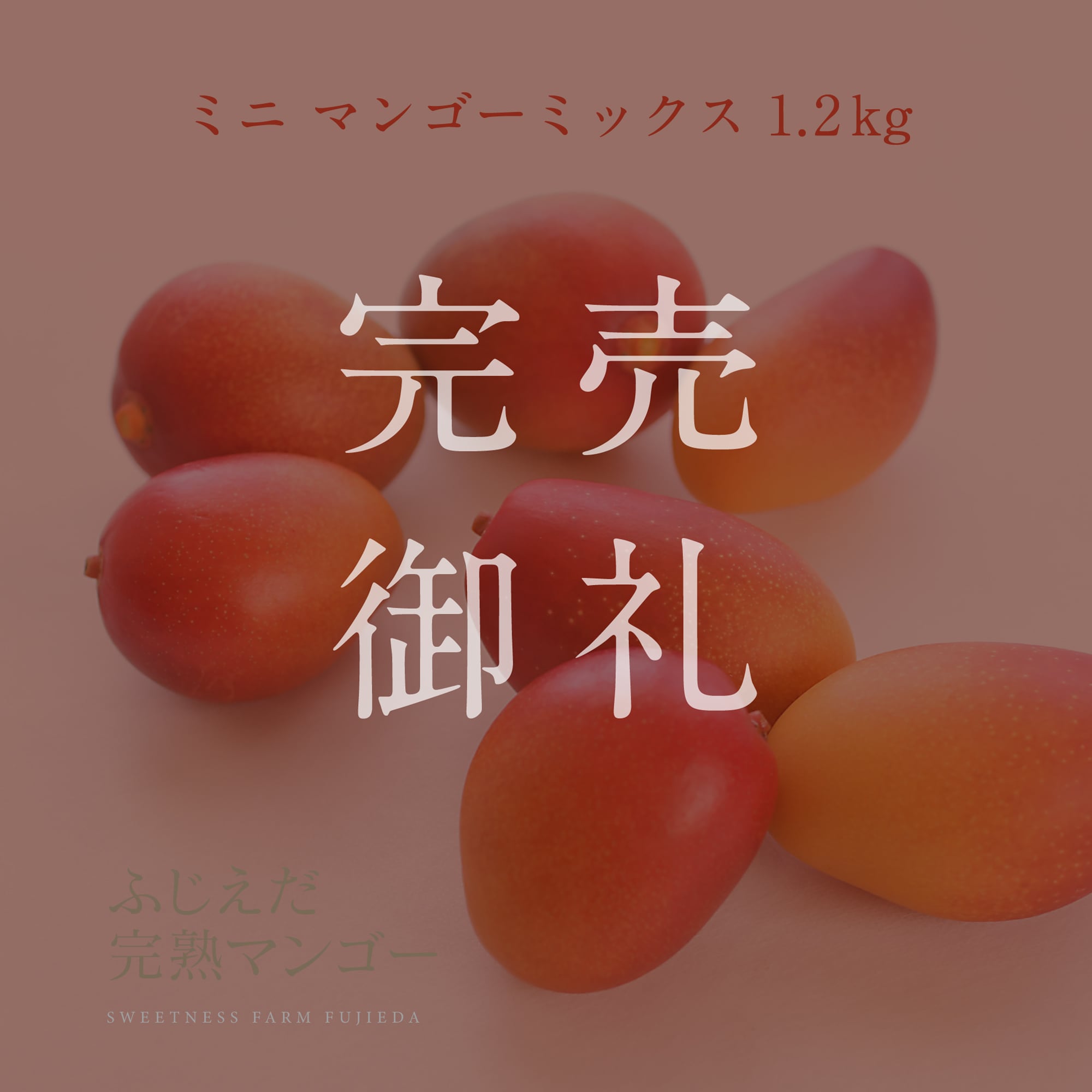 【ミニマンゴー】アソート品種ミックス1～1.2kg