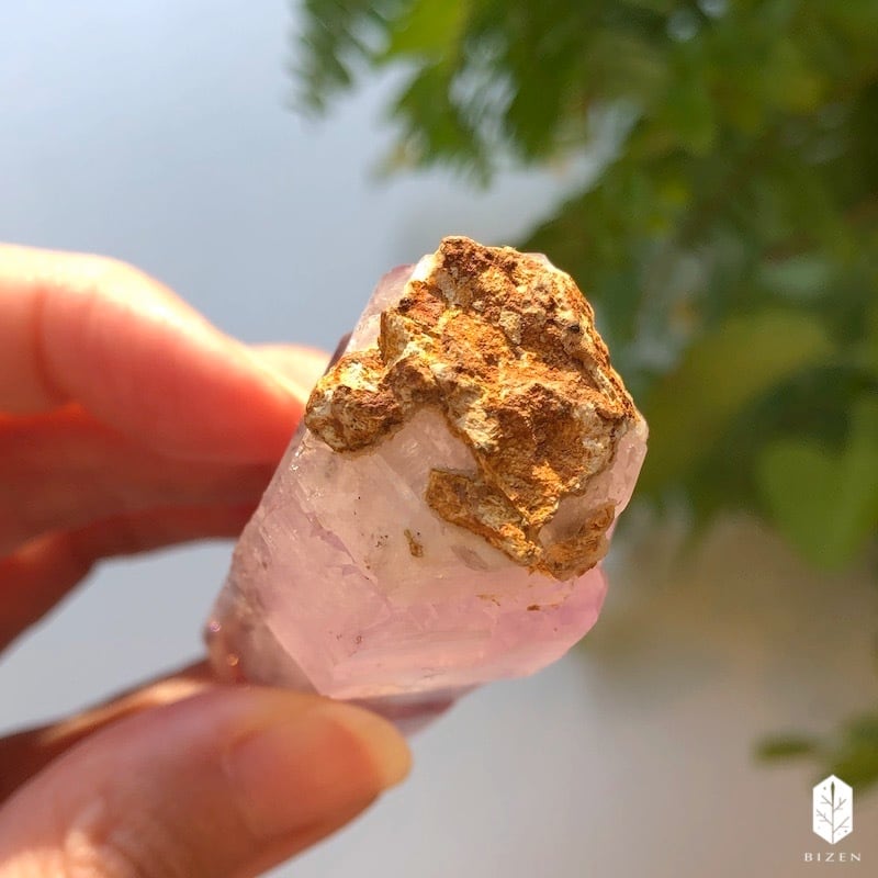ベラクルス・アメジスト①（姉） | BIZEN Crystals