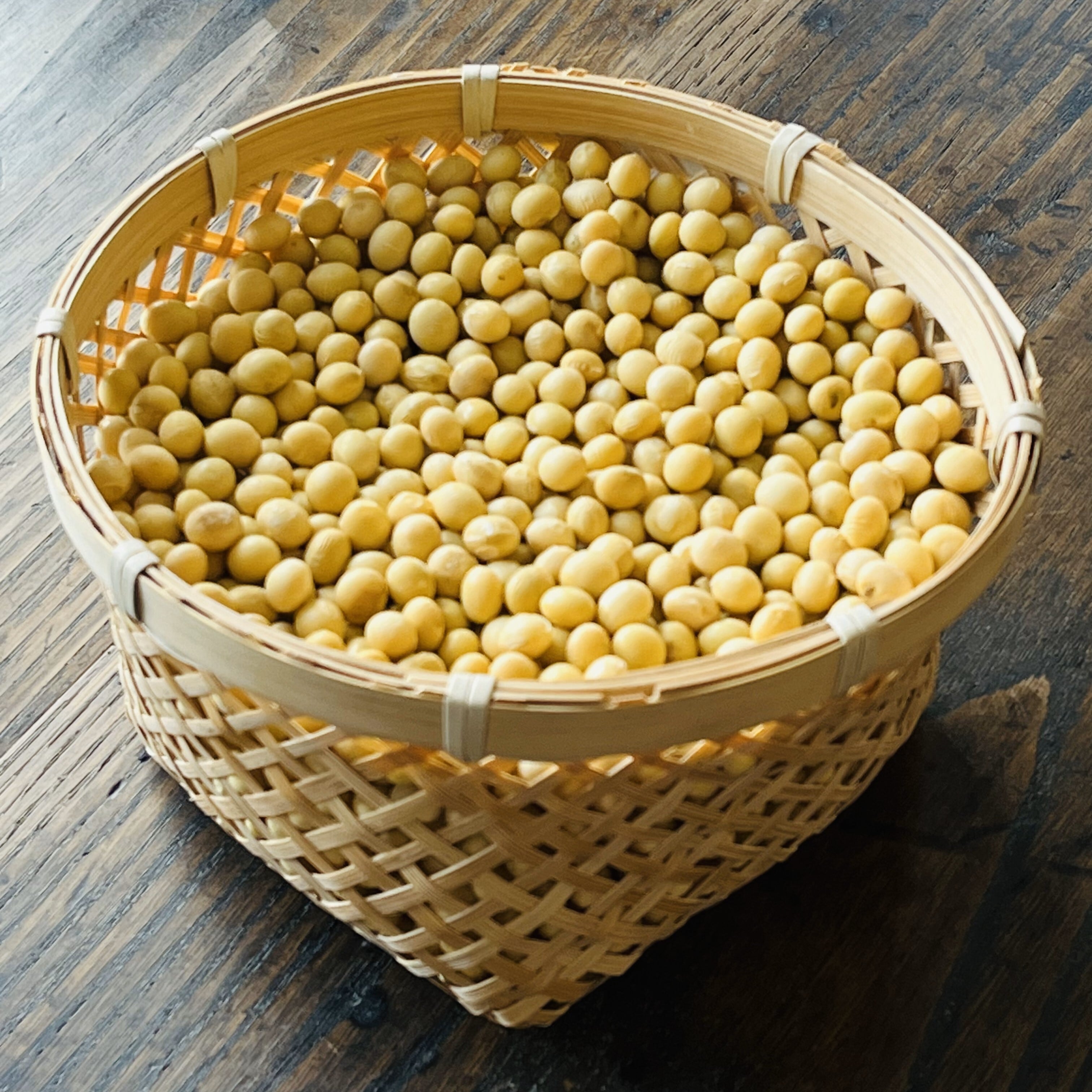 大豆 北海道産 大豆 5kg 2.6分玉 7.8mm玉 アメ横 大津屋 soybean ダイズ