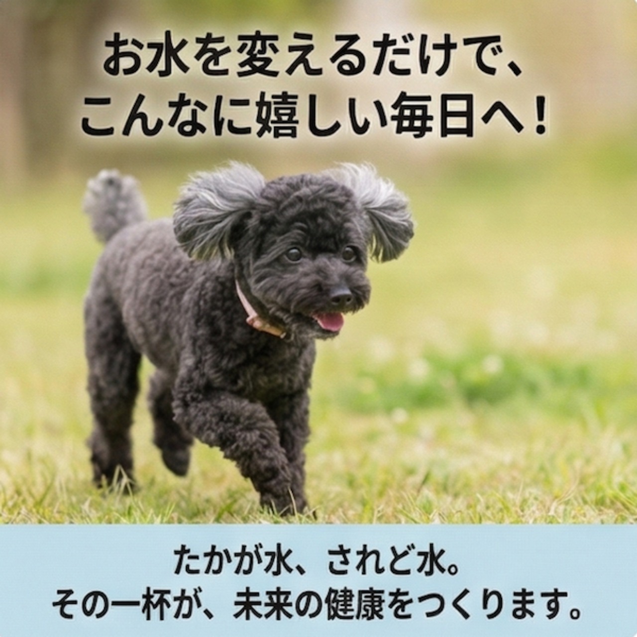 抗酸化・免疫ケアウォーター[お試し3本セット]
