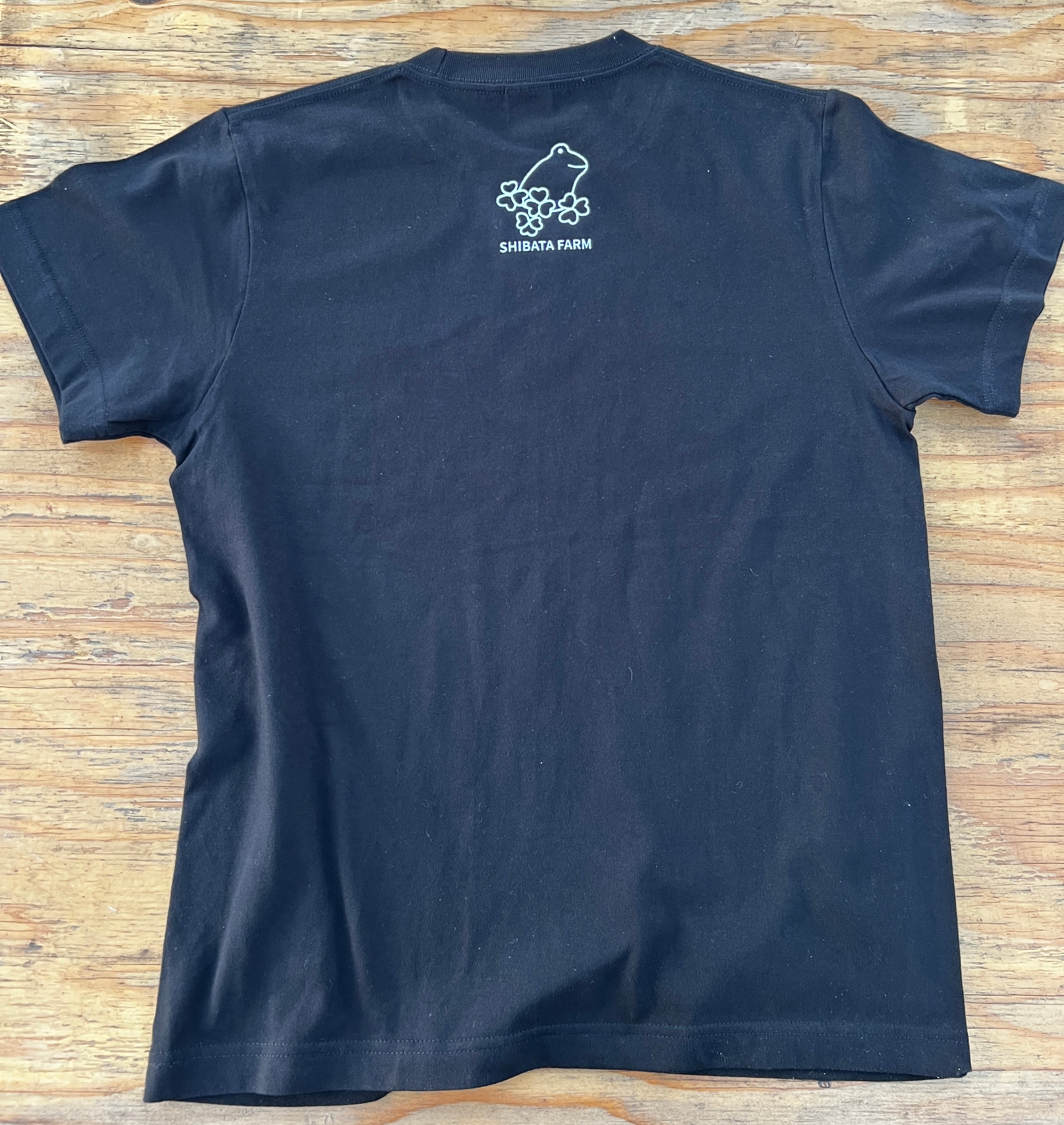 e836efbc7a566260ba5a4e88455c6e