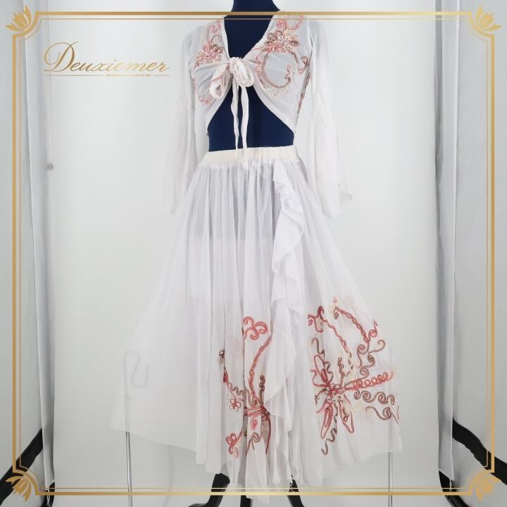 ベリーダンス衣装　ホワイト　レース ベリーダンス衣装 ホワイト × シルバー 無料調整付き その他