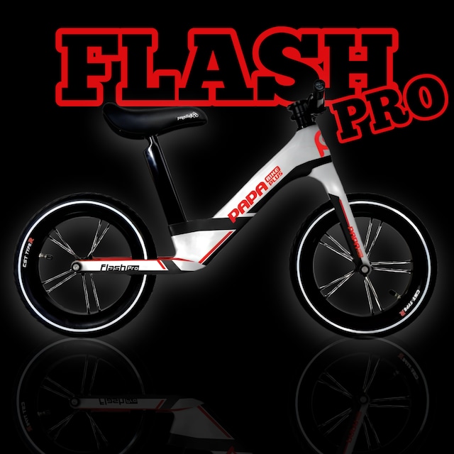 －FLASH PRO－