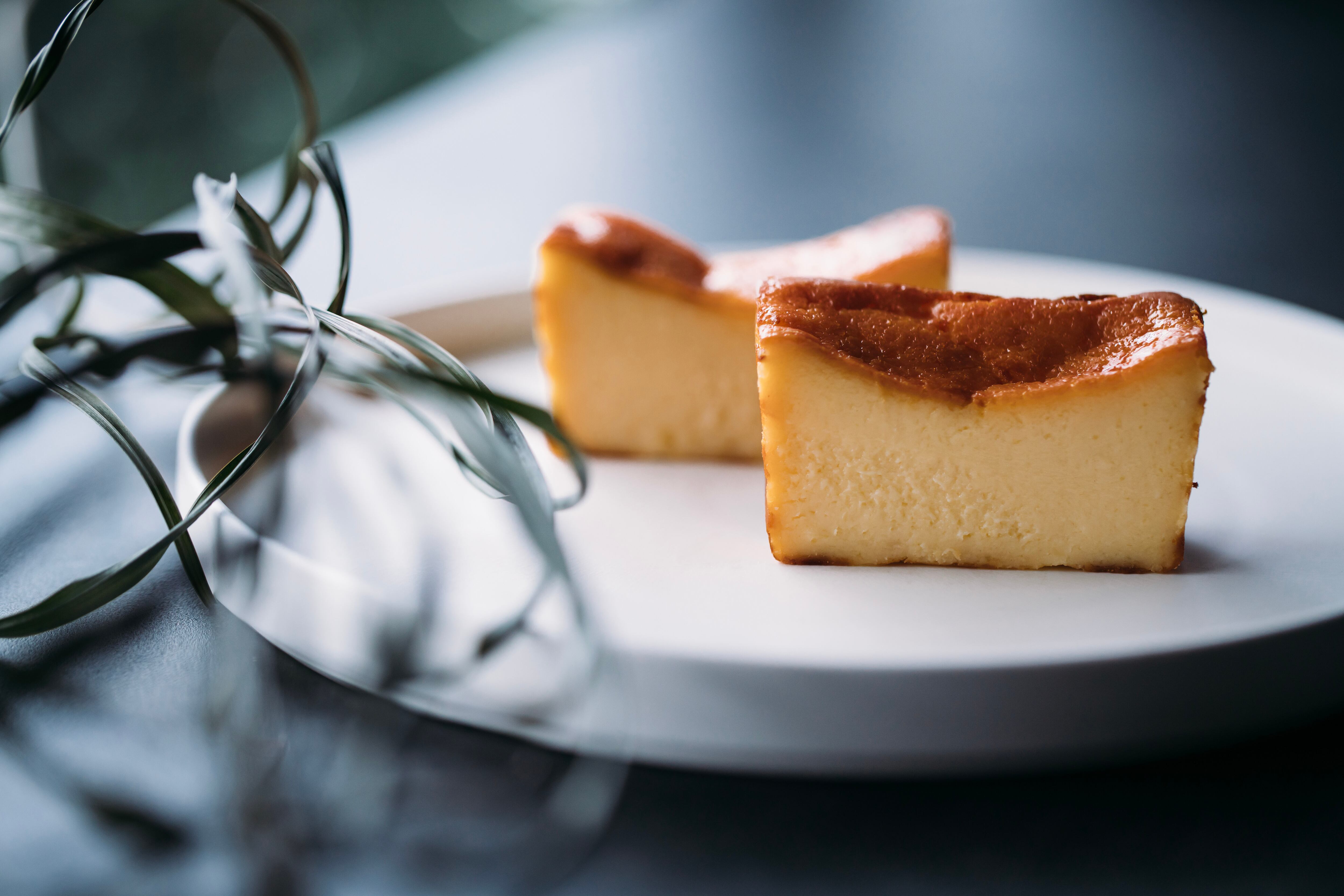 ウィラードソン/チーズケーキ