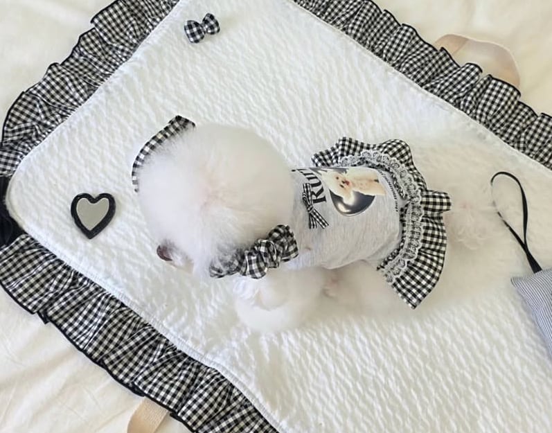 即納販売 BLACK check 犬用イヤーシュシュ 韓国犬服 | Hirokke Atelier