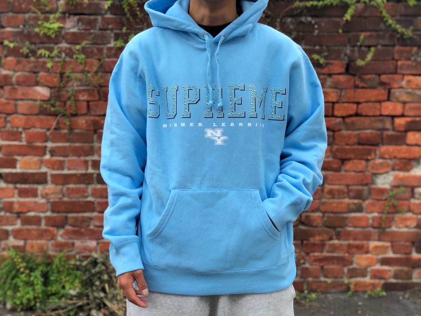 Supreme Gems Hooded Sweatshirt 水色