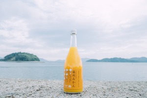 温州みかんジュース（高根島みかん）｜720ml