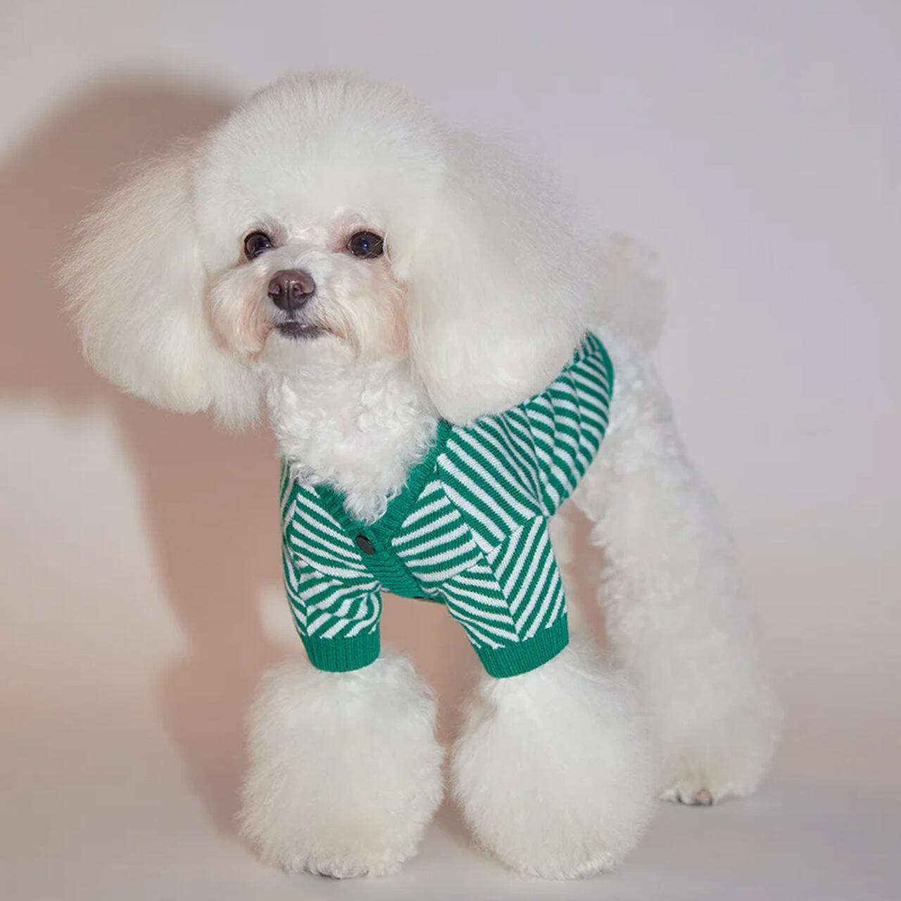 ZIG-ZAG CARDIGAN SWEATER / OVER GLAM