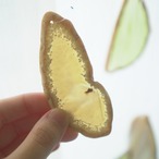 Natural Tree - アゲートヒーリングチャイム / Agate Sun Catcher Wind Chime 070