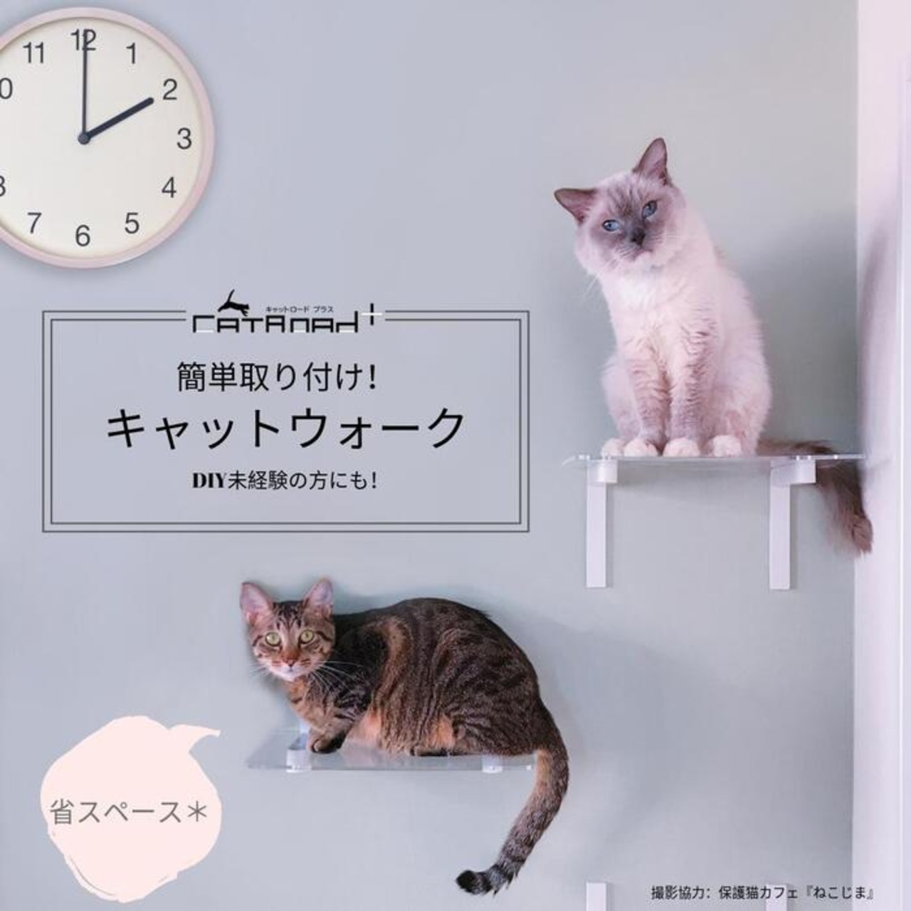 【取付け超簡単!!穴あけ最小限のキャットウォーク!】ロングステップ60㎝(ホワイト/クリア),レイアウト自由自在