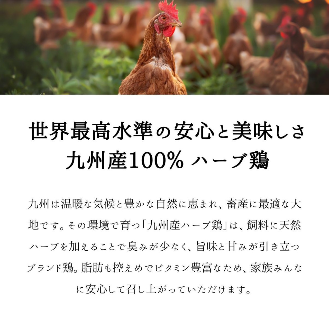 クリスマスレッグチキン（1本）