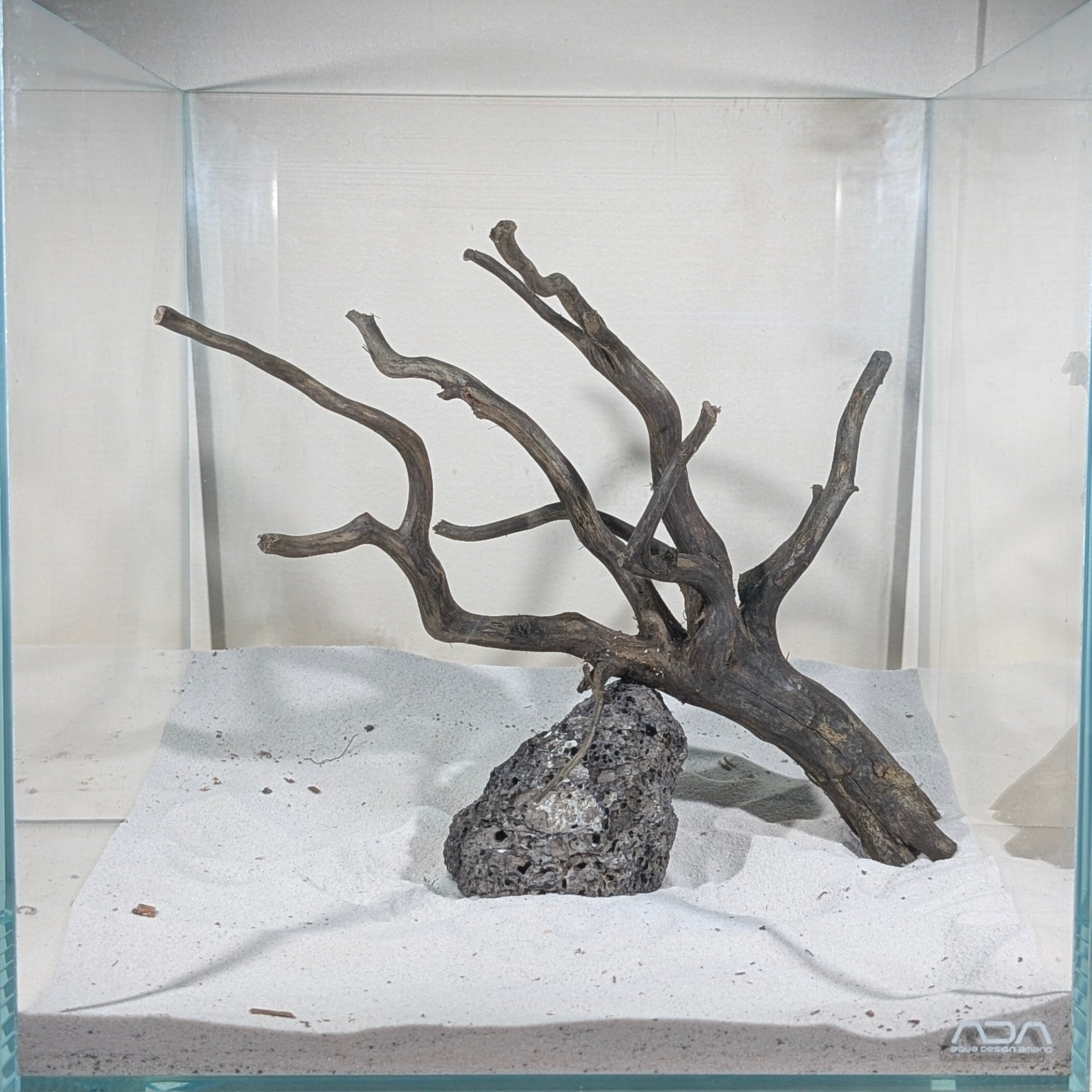 ブラックスマトラブランチウッド【BSB091】 | ペットの流木 水宗工房