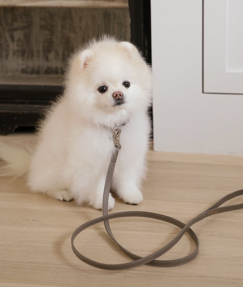 即納【stroll】Lumiere Leash (Etoupe)