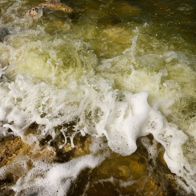 Foaming Lakeside #MonoLake