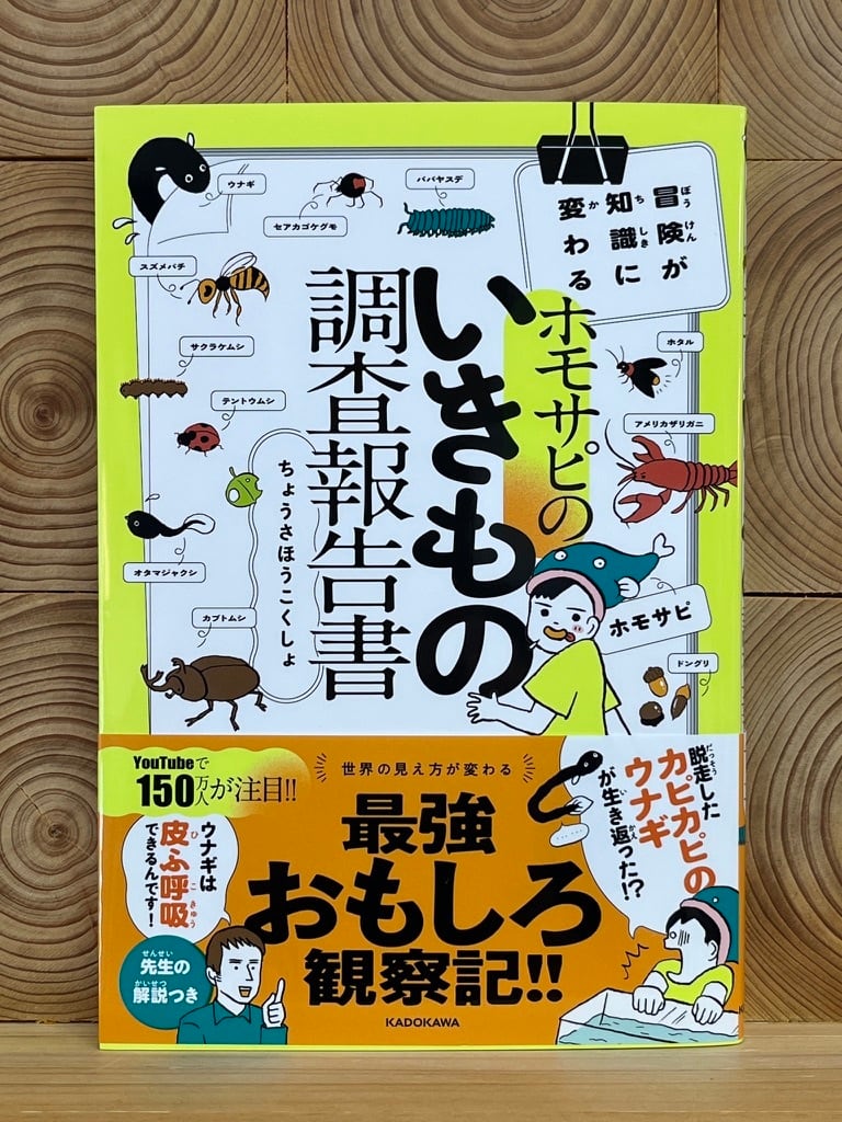 ナミ様専用 2歳からはじめる よみきかせ絵本 世界の名作(決定版) - 絵本