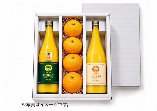 冬限定ギフト「伊予柑」3品詰め合わせ