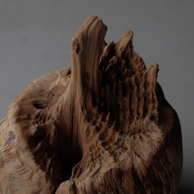 Tree burl