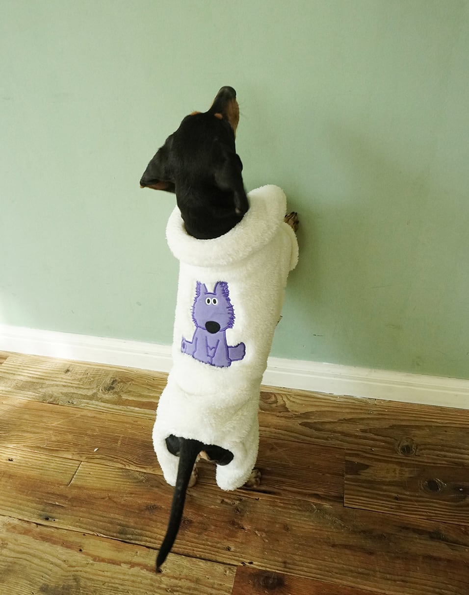 予約【noonoosoom】NoonooBuddy Cotton Candy Allinone (Ivory / Funnyple)