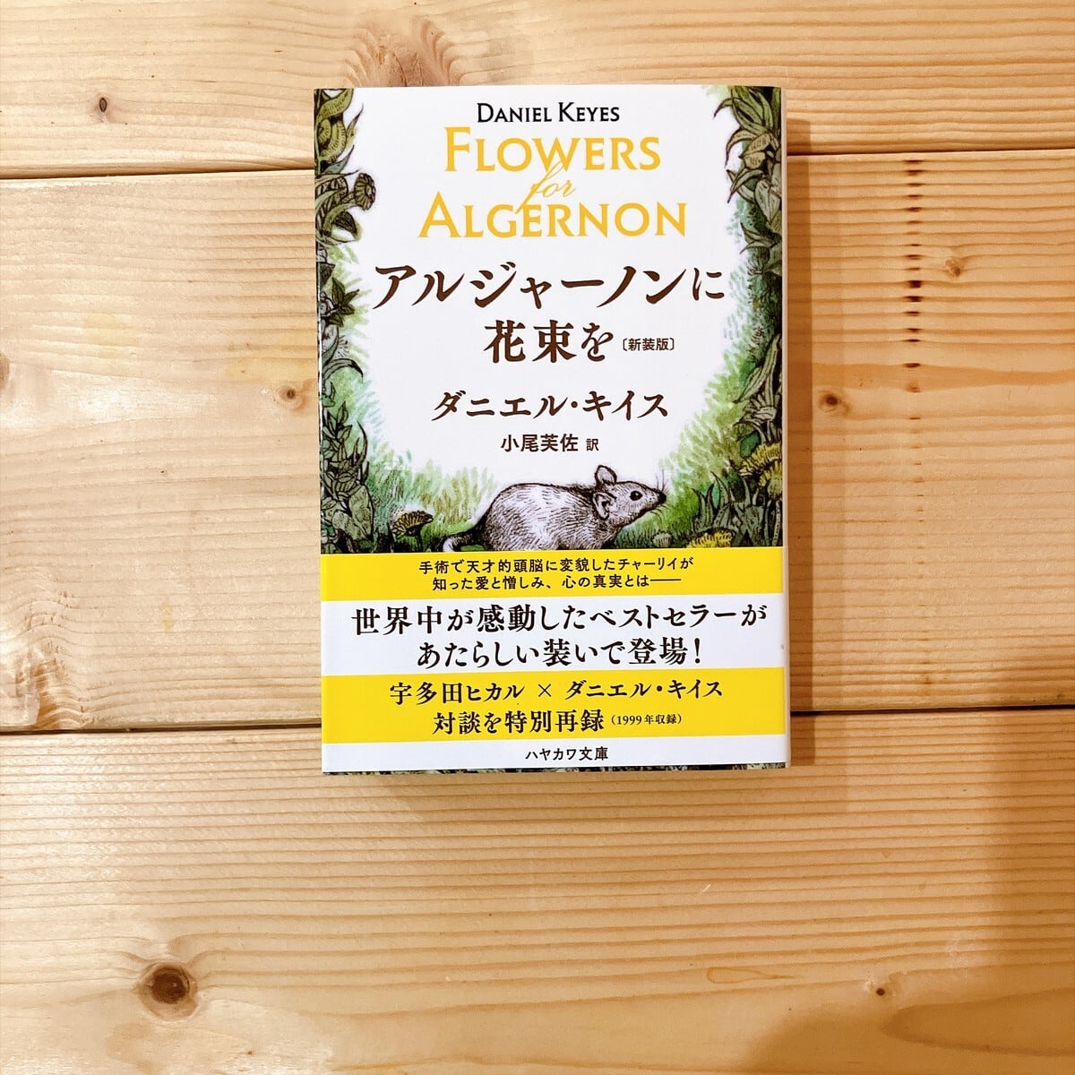 まるとしかく