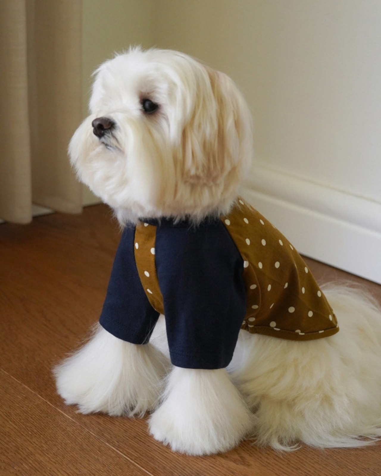 【予約】[ togethering ] Raglan Dot T-Shirt｜Olive - 14
