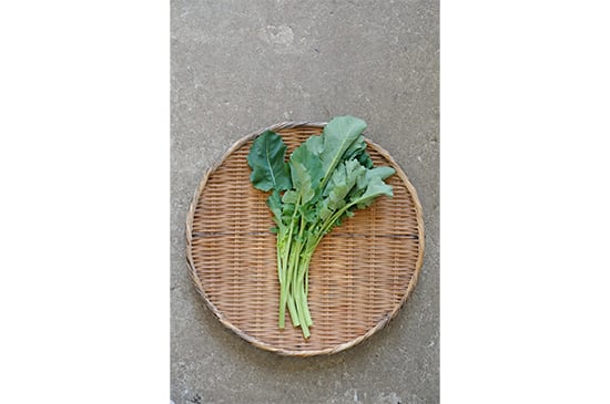 【雪解け野菜】雪割菜・100g