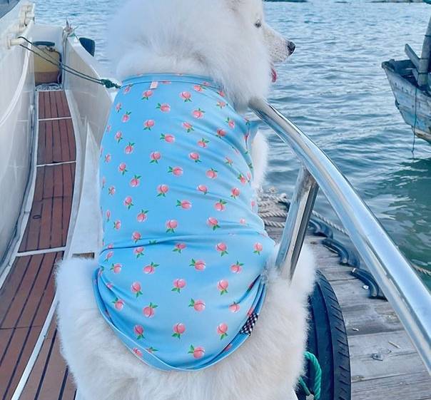 涼しげ可愛い桃柄のノースリーブ