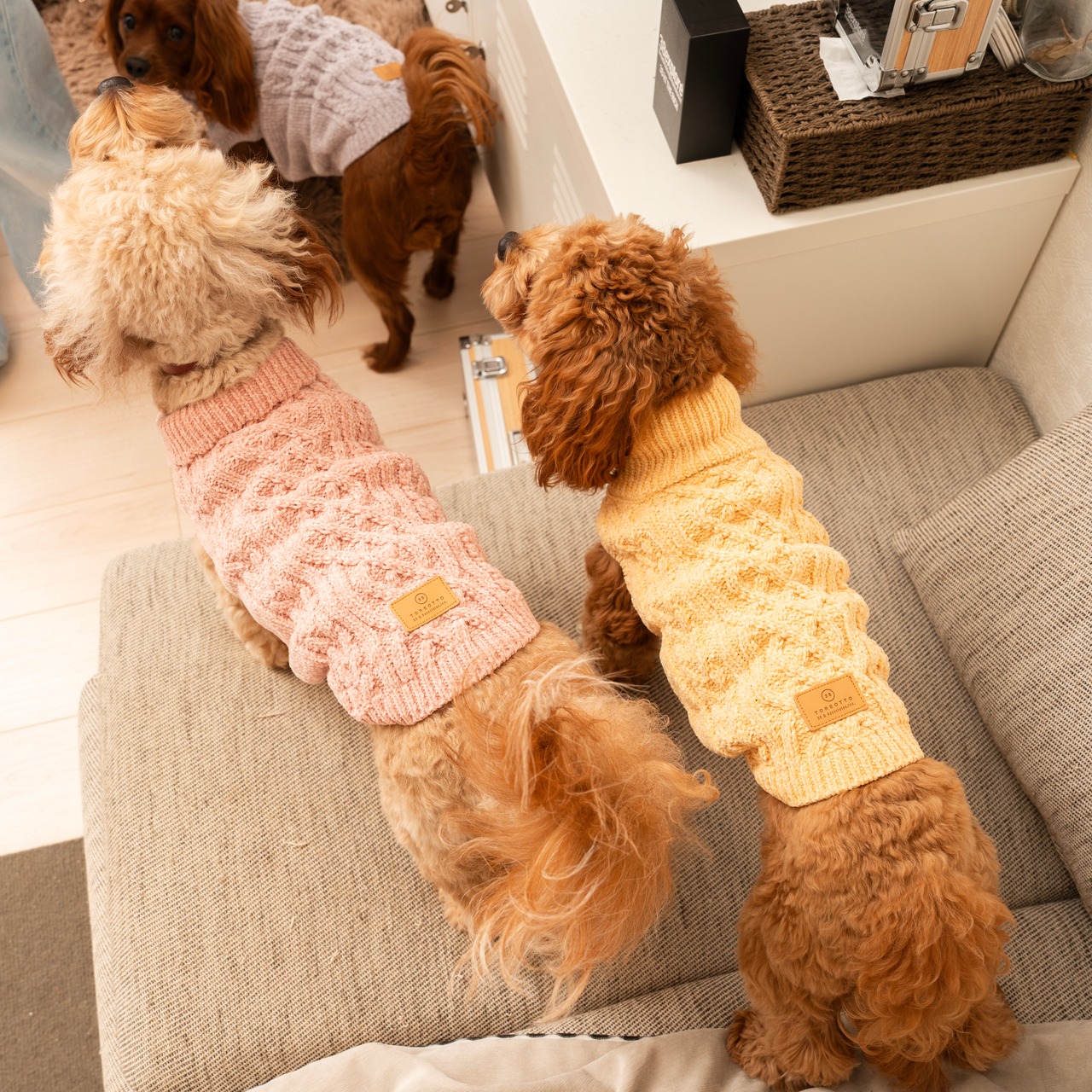 TOREOTTO38 DOG KNITVEST / YELLOW