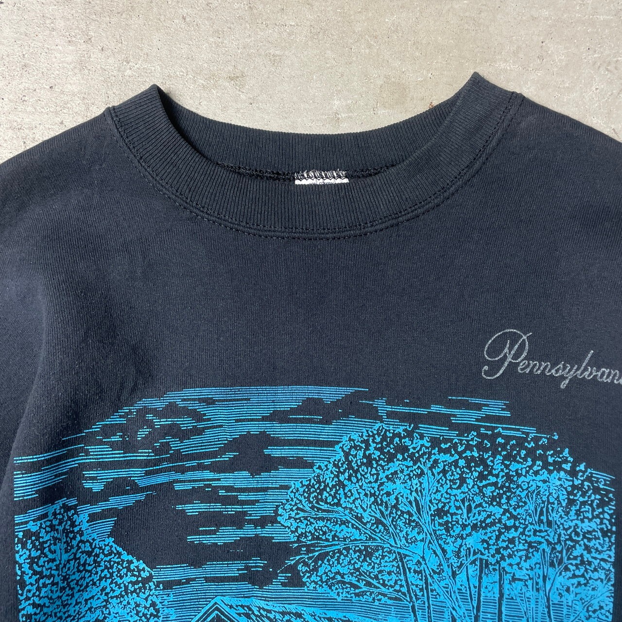 90年代 Pennsylvania 風景画 アート スーベニア プリント スウェット 
