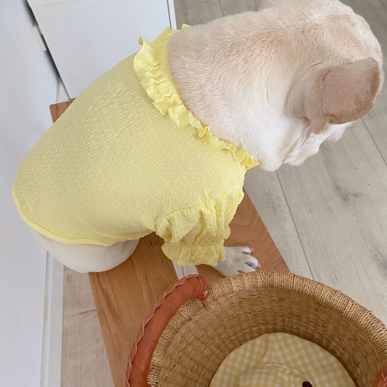 ワンピース❤️小型犬 中型犬 イエロー リボンセット | hogan shop