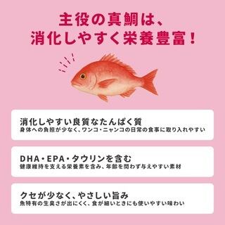 カルワン・カルニャンジュレ (真鯛/マダイ)