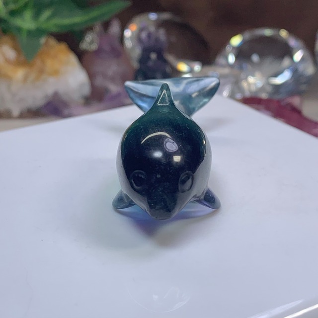 10.癒☆可愛いフローライトイルカさん