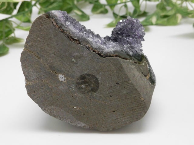 【送料無料】【高品質】 ウルグアイ産アメジスト no.6