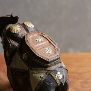 インドからやって来た、プリミティブな象 7