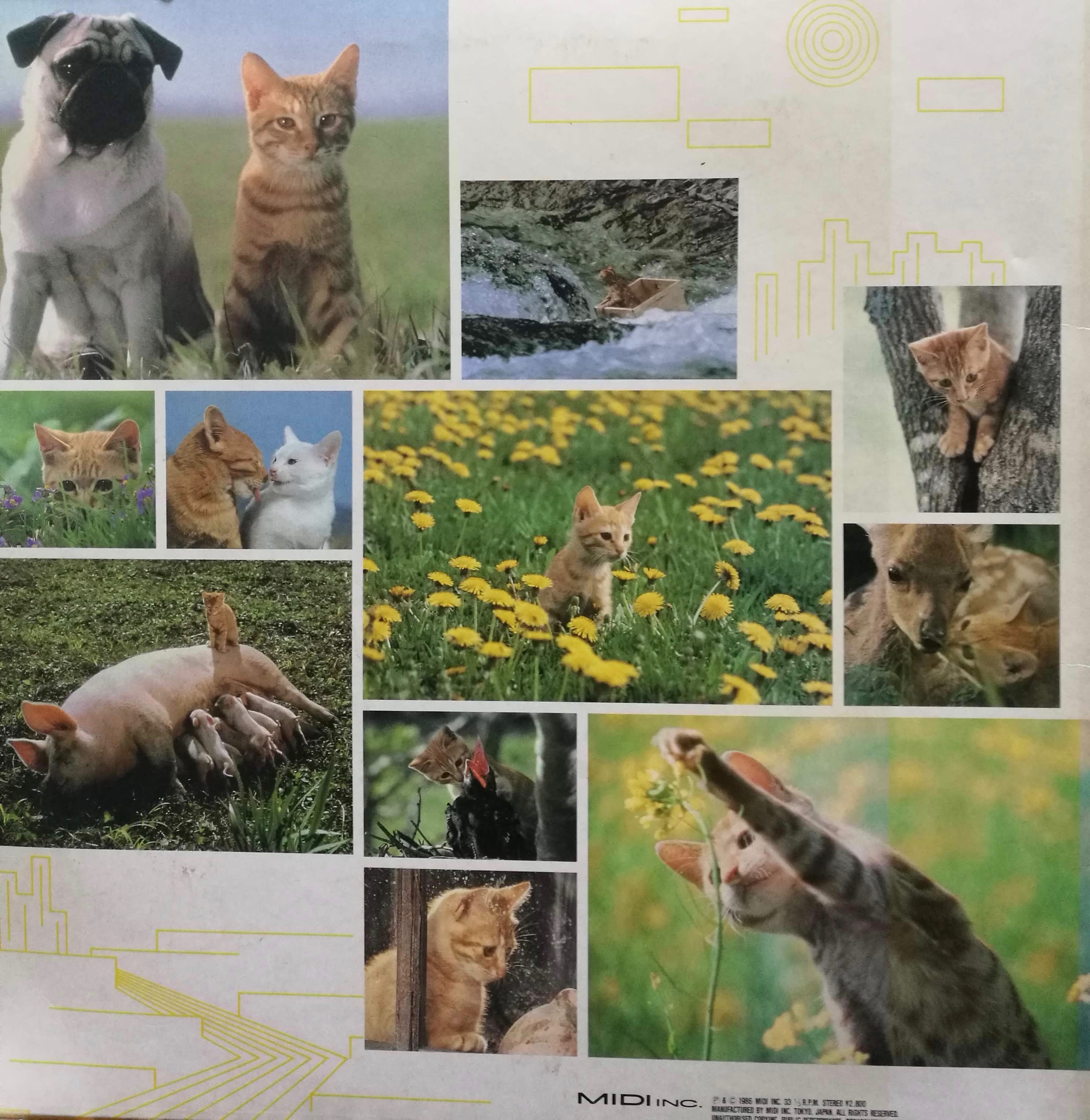 LP】坂本龍一 / 子猫物語 ~The Adventures Of Chatran~ | PAY ID