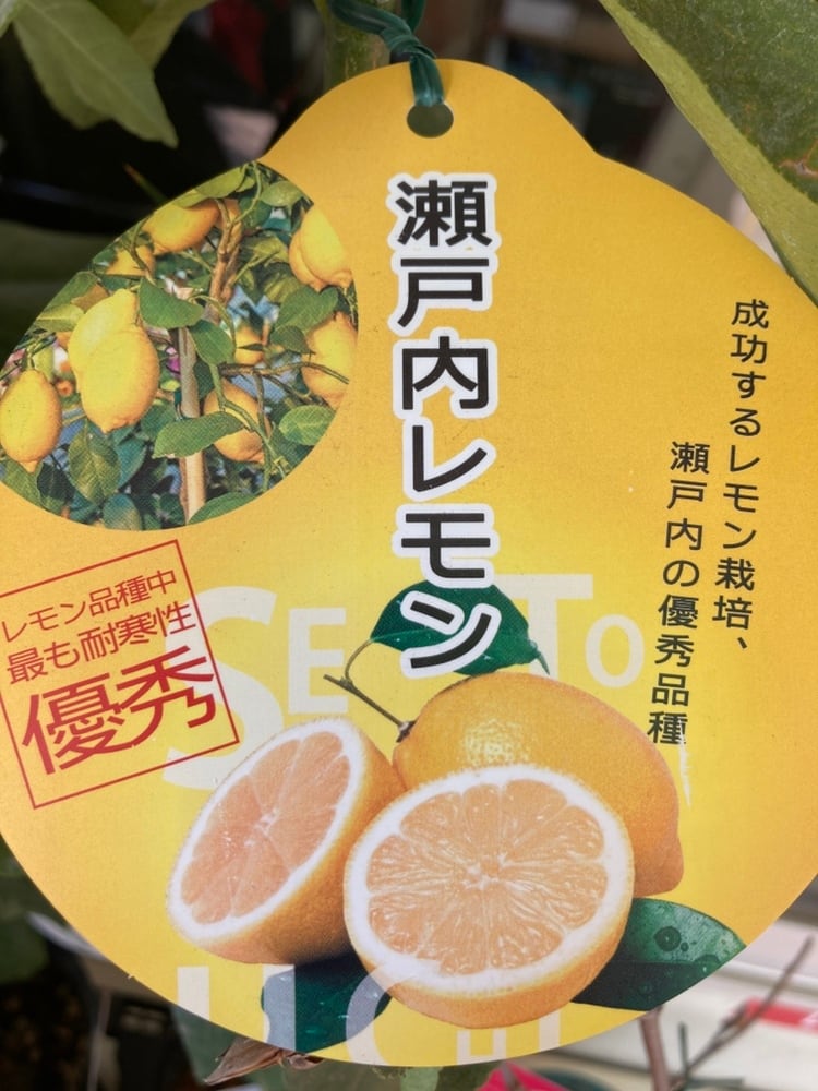 e869a1003b5d4220754f561778dca4